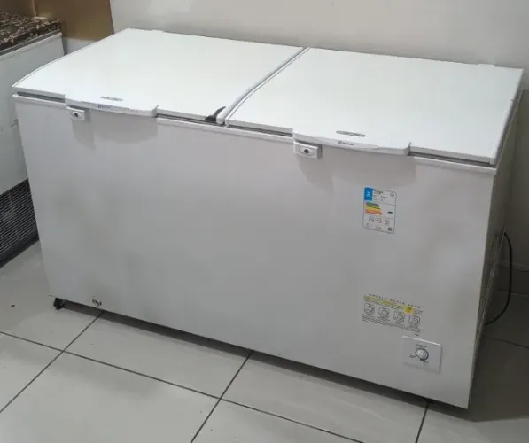 Freezer Electrolux H550