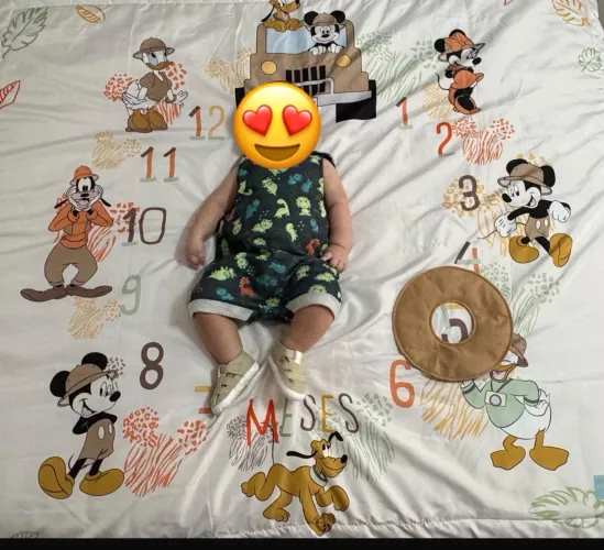 Tapete para fotos Mensarios - MICKEY SAFARI