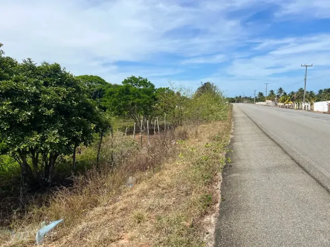 Área de 4 Hectares à Venda em Ponta do peba Beira da Pista,