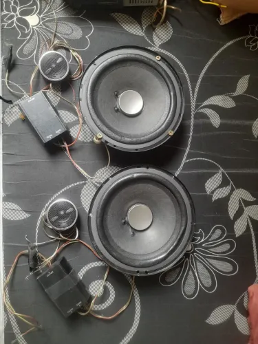 Kit 2 vias pioneer ts-c1790br10p rms cada.
