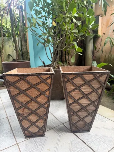 Conjunto de vaso de planta 