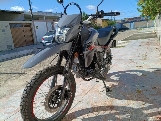SHI 175 2026