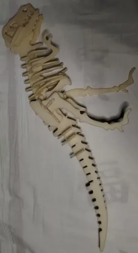 Fóssil T-Rex Revista Dinossauros Editora Globo