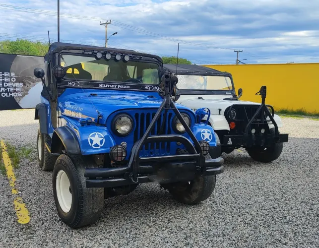 Willys Overland Jeep 2.6 12V Gasolina 2P 1965