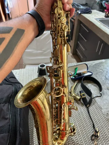 Sax Alto Shelter - 2º dono