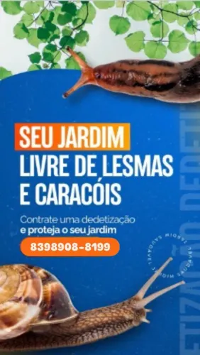 Dedetização em geral