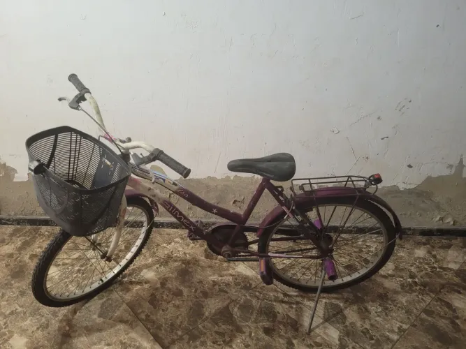 Bicicleta infantil roxa aro 20