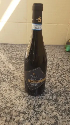 Vinho Sartori Valpolicella Ripasso
