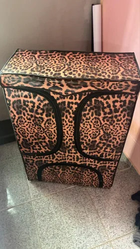 Sapateira organizador