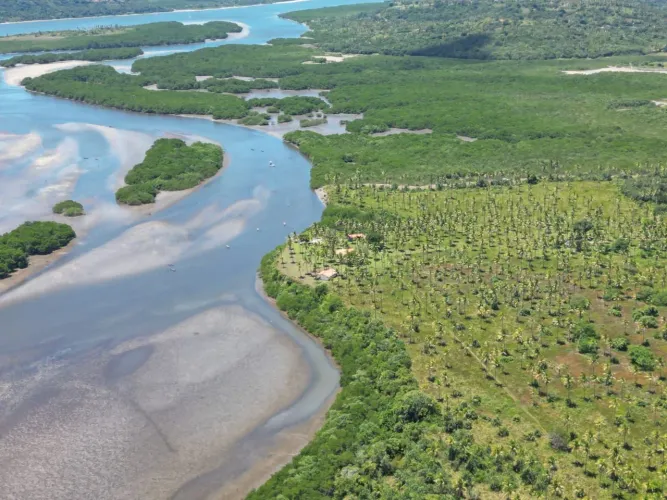 Sítio Perto de PORTO VASCO IGARASSU com escritura 15 Hectares