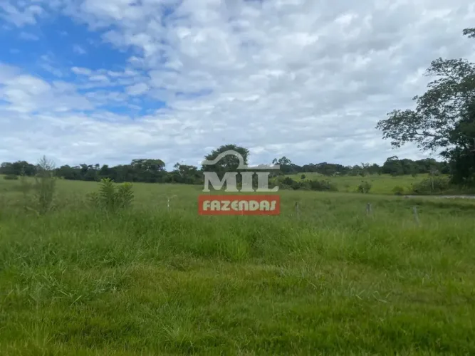 Arrendamento para 700 vacas paridas. Alexânia - GO
