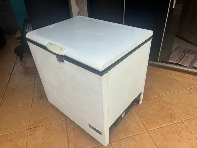 Freezer consul 1 tampa , atinge -25 graus