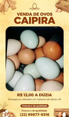 Ovos de galinha caipira