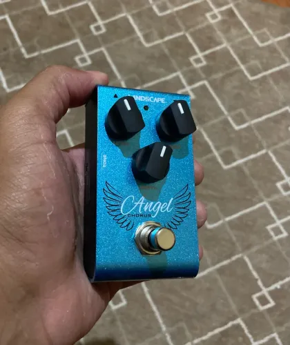 PEDAL ANGEL CHORUS LANDSCAPE