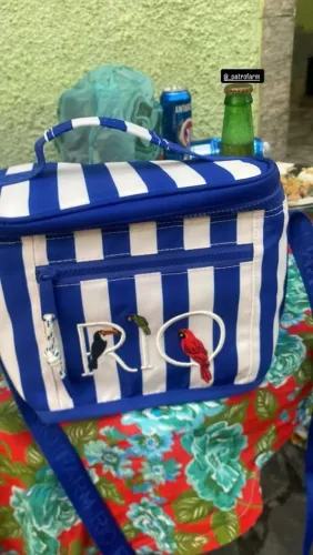 Mini cooler Farm Rio