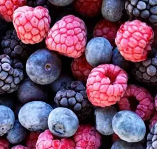 Frutas congeladas 