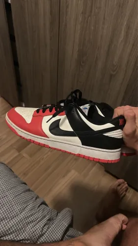 Nike dunk