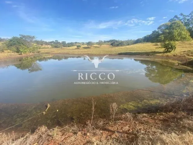 Chácara de 2 Alqueires à Venda em Itaguari-GO Terreno Plano