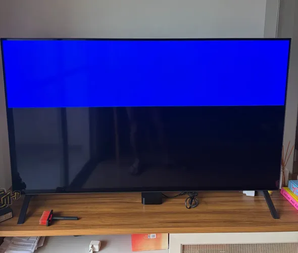 TV LG 55? tela OLED (display com problema/quebrado)
