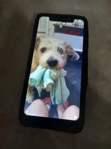 Moto  G one 