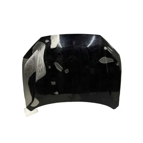 Capo Dianteiro Honda Crv 2024 2025 2026 Original