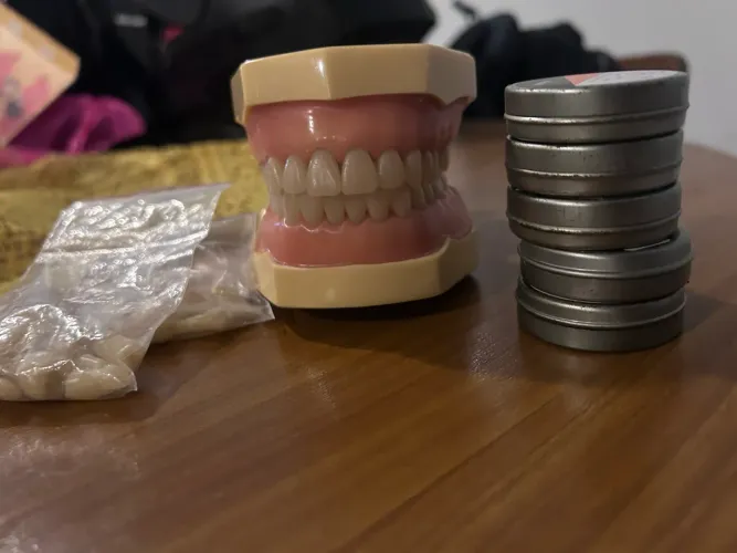 Manequim Odontológico MOM Marilia