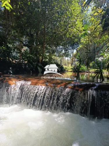 Fazenda para Venda em Miranorte, área rural de ampla expansão agropecuária, 2 dormitórios,