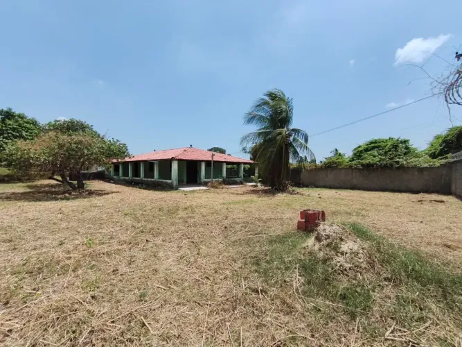SÍTIO À VENDA NO CAUÍPE 3.847 m²! R$ 395.000,00- Possui Matrícula.