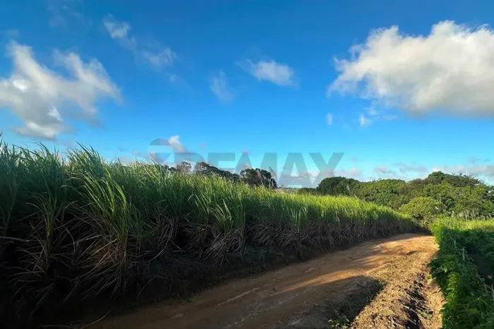 Terra à venda no Conde-PB | 20,5 hectares c/ valor abaixo do mercado