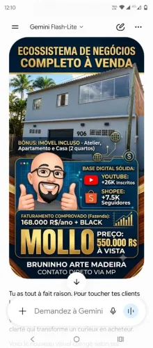 VENDIDO! O Ecossistema Bruninho Arte Madeira está disponível