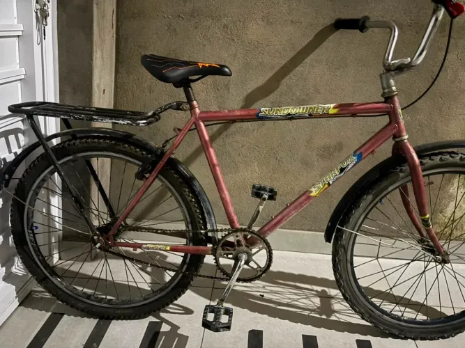 Bicicleta magno aro 26