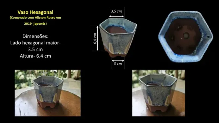 Vaso de Bonsai Mini Hexagonal Japonês