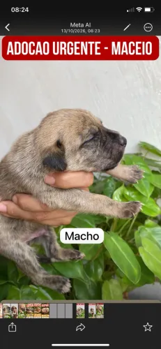 Doação responsável