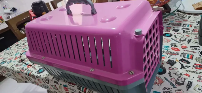 Transporte pet pequeno a médio