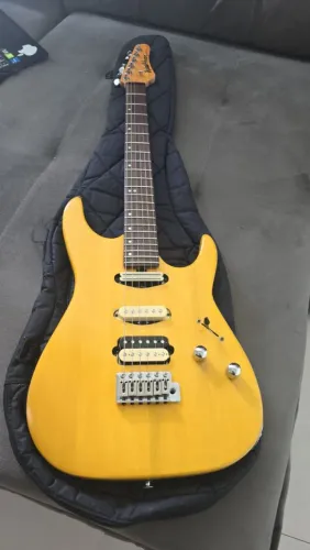 Washburn MG Mercury