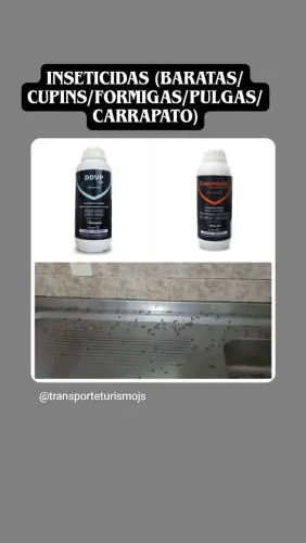 Controle de pragas urbanas