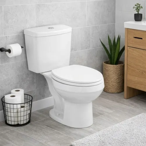 Vaso sanitário para deficientes/idosos Incepa