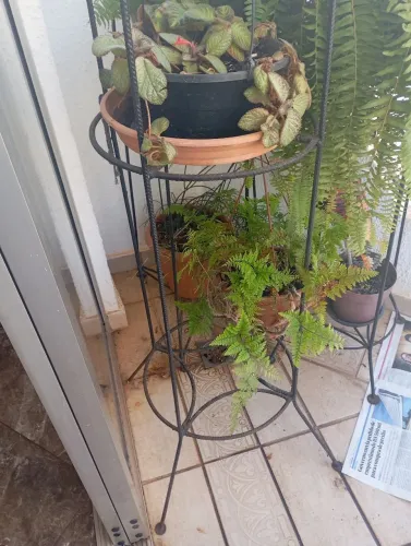 Suporte para plantas - varios