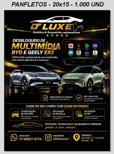 Desbloquio de Multimida BYD e Geely Omoda