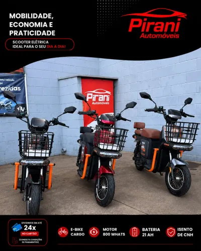 E Bike Cargo 800W ( ZERO KM)!