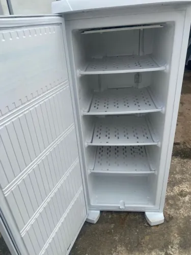 Freezer vertical