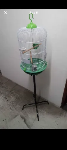 Gaiola de Pássaros 