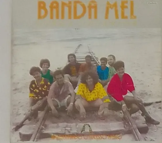 VINIL - BANDA MEL - força interior.