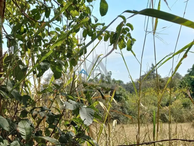 Terreno à venda em Campinas, Parque Jatibaia (Sousas), com 20253 m², Bosques de Notre Dame