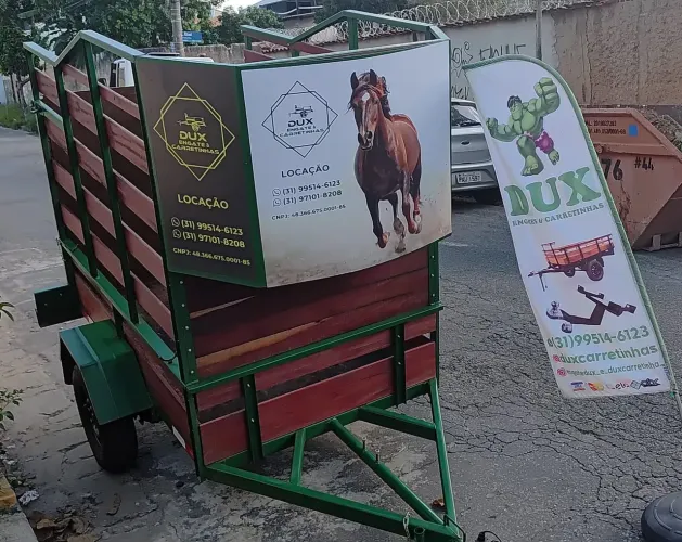 Transportar cavalo