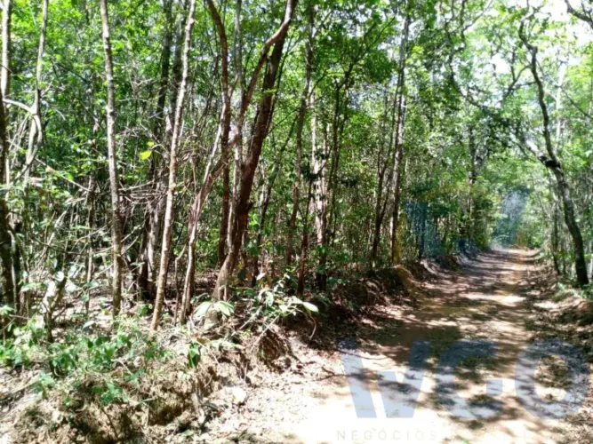 Chácara para Venda em Abadiânia, RURAL
