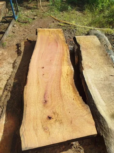 Pranchas de madeira 