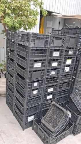 Caixas Plásticas Vazadas Hortifrúti / Mercado (Usadas) - Ótimo Estado
