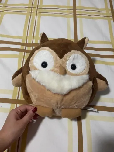 Coruja de pelúcia novo