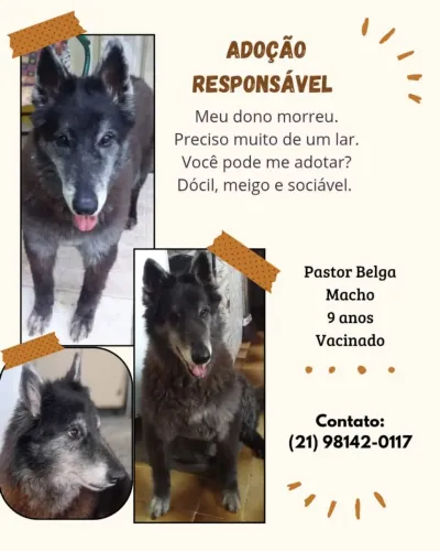 Doação de pet 